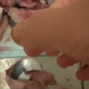 Migros Sanal Bozuk Palamut