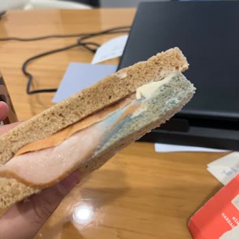 Migros'tan Alınan Hindi Fümeli Sandviçte Küf Tespiti