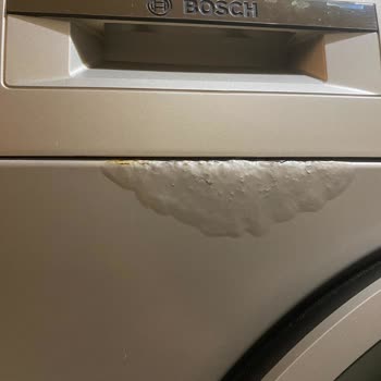 Bosch Çamaşır Makinesinin Deterjan Bölmesinde Boya Kabarması Ve Paslanma Sorunu