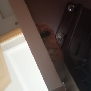 Doğtaş Yatak Odası Takımının Birçok Parçasında Ayak Çökmesi Ve Garanti Reddi