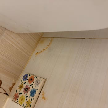 ECA Servisinde Tekrarlayan Klozet Sızıntısı Ve Sürekli Ek Masraflar