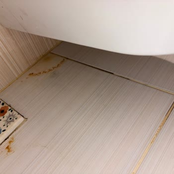 ECA Servisinde Tekrarlayan Klozet Sızıntısı Ve Sürekli Ek Masraflar