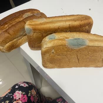 Migros’ta UNO Markalı Ekmekte Aşırı Küf, Çocuk Sağlığı Tehlikede