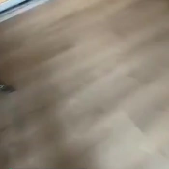 Dyson Ürün Arızası