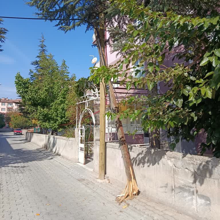 Türk Telekom Kırık Telefon Direği Güvenlik Riski Ve Acil Müdahale Talebi