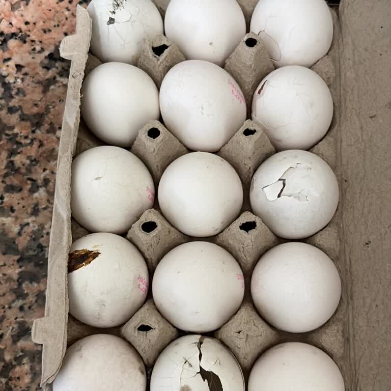 A101 Şubesinde Küflü Ve Süresi Geçmiş Yumurta Satışı, Fiş Olmadan İade Reddi