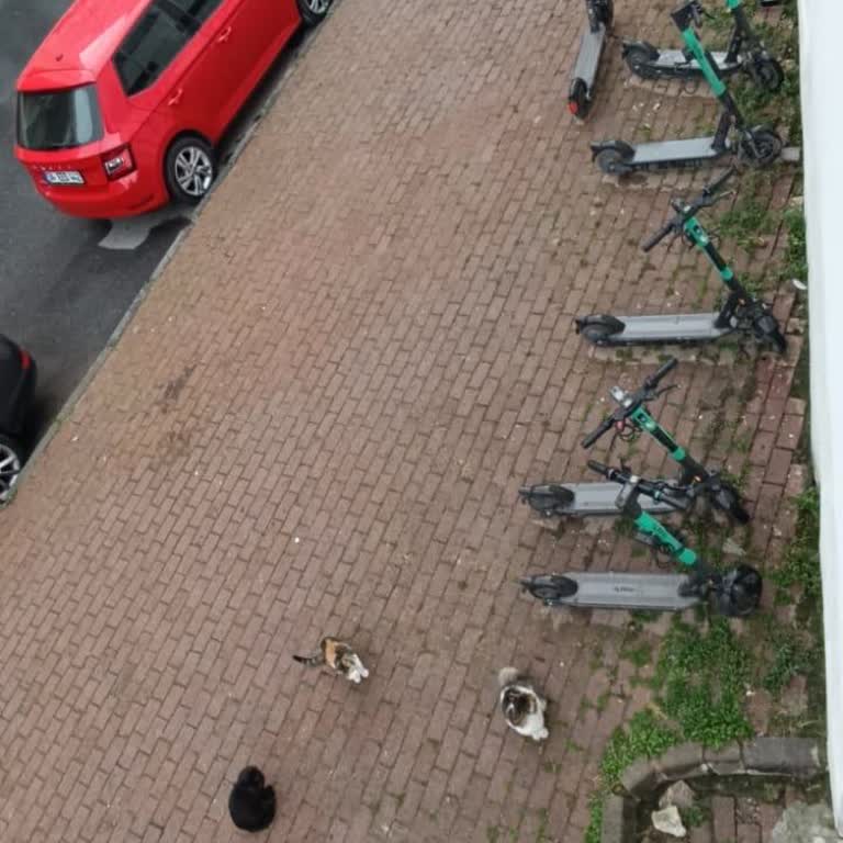 İstanbul Fatih’te Martı E‑Skuter’lerin İzin Almadan Kaldırıma Park Edilmesi