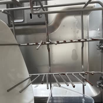 Franke FDWS 712 A++ XS Bulaşık Makinesinde Paslanma Ve Parça Temini Sorunu