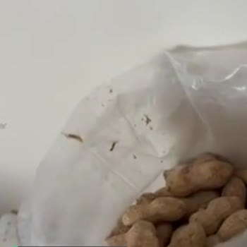CarrefourSA'dan Fıstık Aldım, Kurtlu Çıktı!