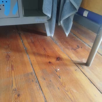 Tozlu Ve Bakımsız Hostel Odası İçin İade Talebi Ve Yanıtsız Müşteri Hizmetleri