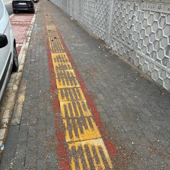 Nilüfer 30 Ağustos Zafer Mahallesi’nde Evcil Hayvan Dışkıları Sokakları Kirletiyor