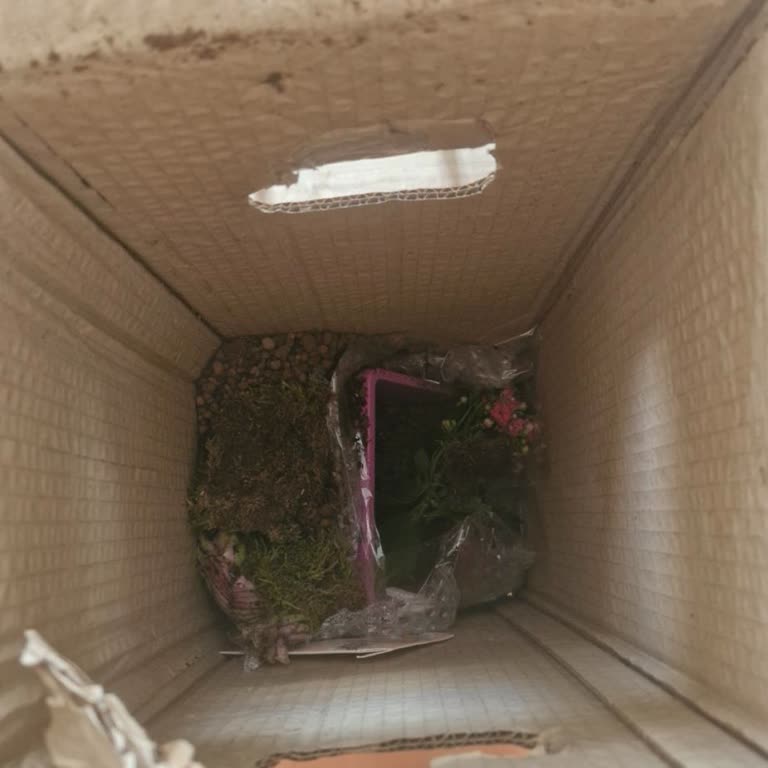 İstanbul Çiçekleri'nde Hasarlı Çiçek Aranjmanı Ve Eksik Kart Ve Mumlar İçin Acil Çözüm Talebi