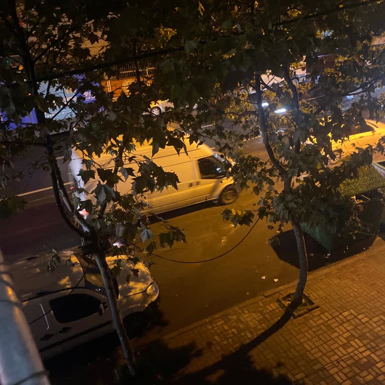 Üç Gün Süren İnternet Kesintisi Ve Saha Ekibi Gelmemesi