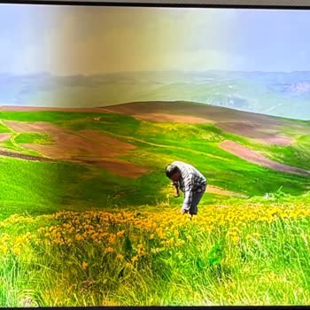 Samsung 65 İnç QLED Televizyonda Garanti Sonrası Ekran Arızası İçin 44 Bin TL Onarım Ücreti