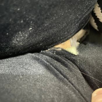 İder Mobilya'da Yanlış Renk Gönderimi Ve Defolu Ürünler İçin Çözüm Talebi