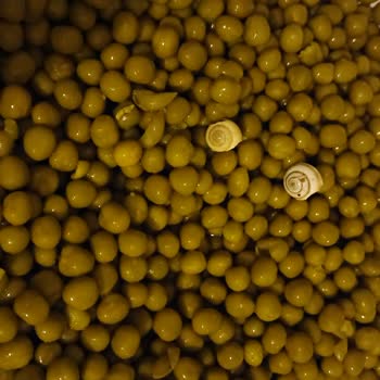 Yurdum Markalı Bezelye Konservesinde Salyangoz Sorunu Ve Sağlık Endişesi