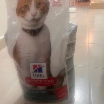 Hill's Kedi Maması Kötü Koku Nedeniyle İade Ve Ücret İadesi Talebi