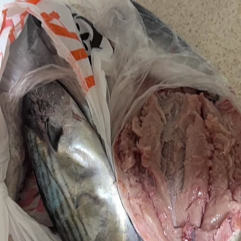Migros 5M Şubesinde Bayat Palamut Balığı Satışı Ve Sağlık Riski