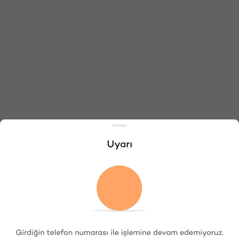 Akbank Mobil Uygulamasında Giriş Yapamama Ve Sim Kart Blokeli Şifre Sorunu