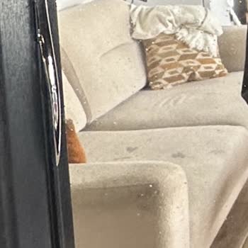 Sapanca SPA Otelinde Hijyen Ve Gürültü Sorunları Üzerine Şikayet