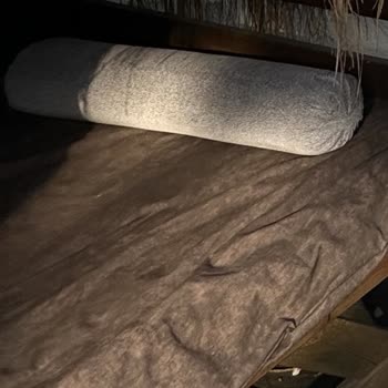 Sapanca SPA Otelinde Hijyen Ve Gürültü Sorunları Üzerine Şikayet