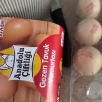 Şok Gezen Tavuk Yumurtası