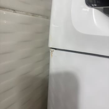 Profilo Çamaşır Makinesinin Ön Yüzeyindeki Paslanma Garanti Sonrası Ücretsiz Onarım Talebi