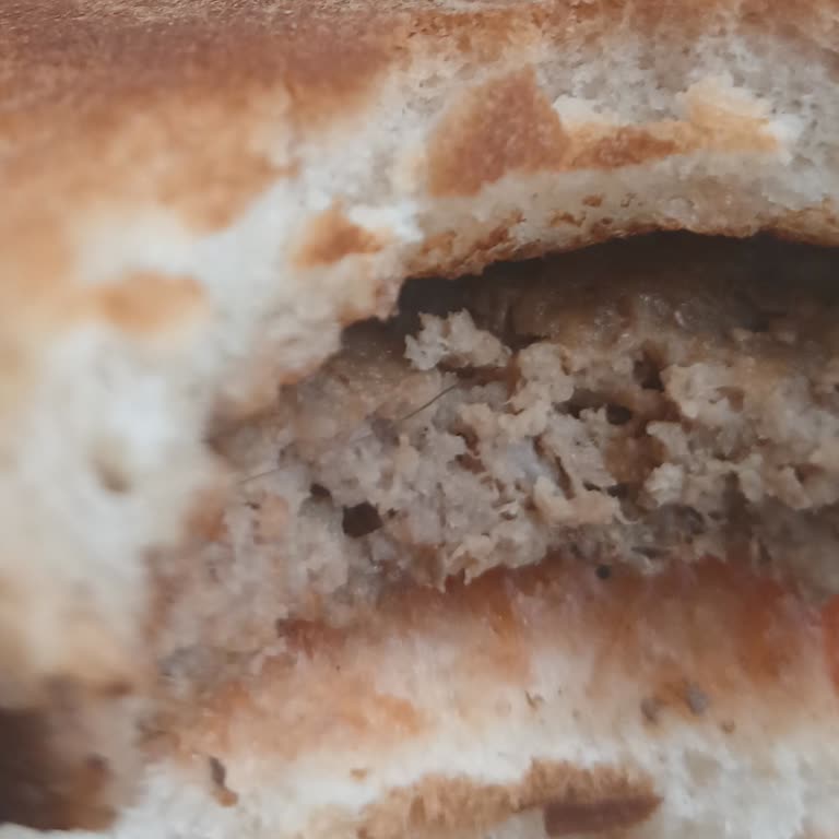 Trendyol GO’da Hijyen Sorunu Ve İade Reddi: Burger King Siparişinde Kıl Bulundu
