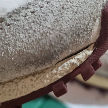 Lacoste Ayakkabısında Kısa Sürede Deformasyon Ve Mağaza İnceleme Sürecinde Çözüm Sunulmaması