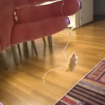 Rivos Biftek Çeşnili Cips'te Plastik Parça Bulunması Ve Sağlık Endişesi