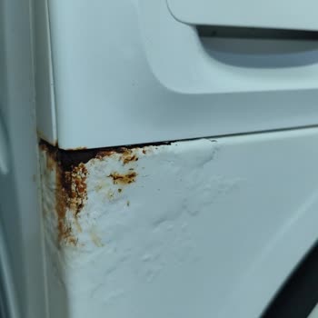Profilo Buzdolabı Ve Çamaşır Makinesinin Boya Dökülmesi Ve Paslanma Sorunu