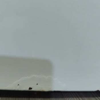 Profilo Buzdolabı Ve Çamaşır Makinesinin Boya Dökülmesi Ve Paslanma Sorunu