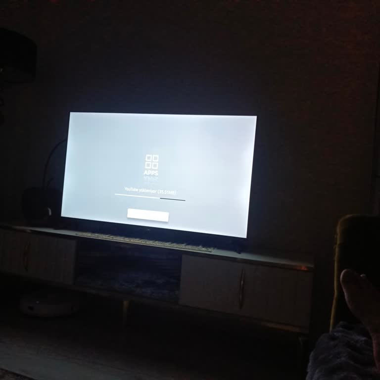 Sunny Televizyon Ekranındaki Gölgelenmeler Yetkili Servis Tarafından Reddedildi, Değişim Talebi