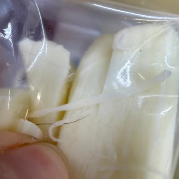 Açılmamış Ambalajda Kıl Bulunan Tarabya Peynirine Dair Şikayet