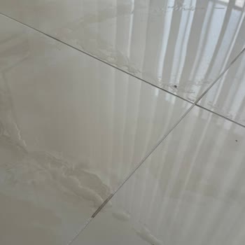 Tineco Floor One S9 Steam Modelinde Kısa Sürede Arıza Ve Bilgilendirme Eksikliği