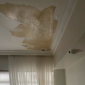 Allianz Konut Sigortasından Randevu Verip Usta Gelmeyen Destek