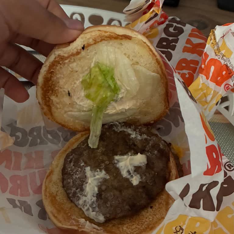 Yemeksepeti Üzerinden Burger King Siparişinde Boş Burger Ve Soğuk Patates, İade Talebi Reddedildi