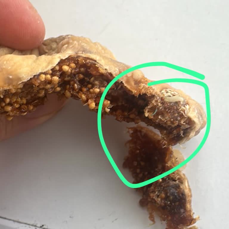 Doğal Filem'den Gelen Kuru İncirlerde Canlı Kurt Problemi