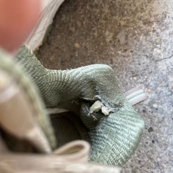 Skechers D’Lites Ayakkabılarda Sürekli Arka Kısım Yırtılması Ve Değişim Talebi