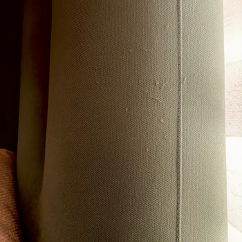 Kedinin Tırnaklarından Çizik Alan Pati Dostu Kumaş Ve Ücretsiz Servis Talebi