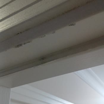 Beko Buzdolabının Sürekli Hasarlı Teslimi Ve Ev Zararları İçin Tazminat Talebi