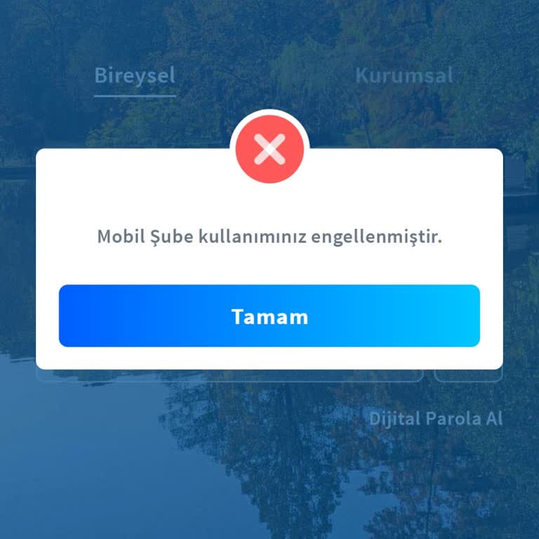 Halkbank Mobil Şube Erişiminin Engellenmesi Ve Temel Bankacılık İşlemlerinin Yapılamaması