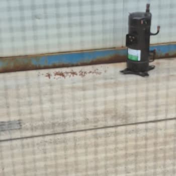 Enjoy Tavuklu Kedi Mamasının Kokusundan Şikayet Ve İade Talebi