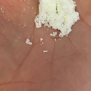 Hipp Bebek Sütünde Siyah Sert Parça Bulunması