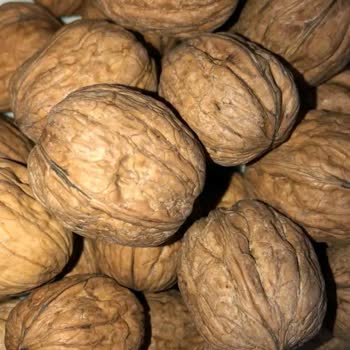 Gardrops'ta Haksız Çürük İade İddiası Ve Uzayan Ödeme Süreci