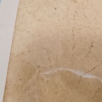 Organik Hindistan Cevizi Ununda Siyah Nokta Ve Ekşi Koku: Sağlık Riski Ve Açıklama Talebi