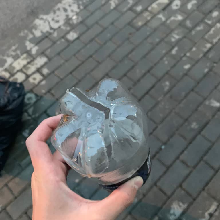 Pepsi Zero Şişesinin Dış Kusuru Ve Kırılganlığı Nedeniyle Kullanılamaz Hale Gelmesi