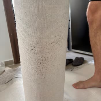 Halı Yıkama İşletmesinin İhmali Ve 86.000 TL Tazminat Talebi