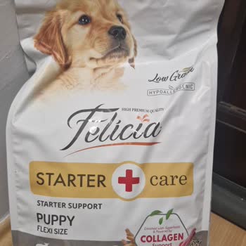 Getir'de Yanlış Köpek Maması Teslimatı Ve İade Talebi