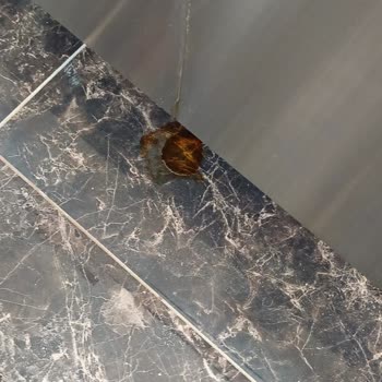 Empero Pizza Hazırlık Dolabında Sürekli Su Sızdırması Ve Servis Yanıtı Yok